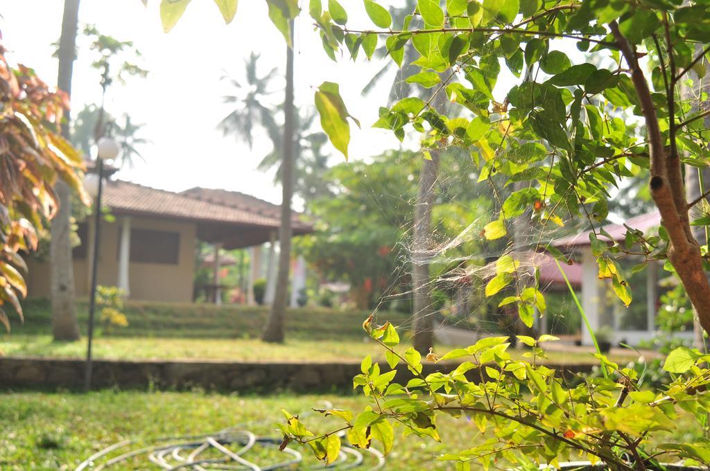 Soba Lanka Holiday Resort Melsiripura Exteriör bild