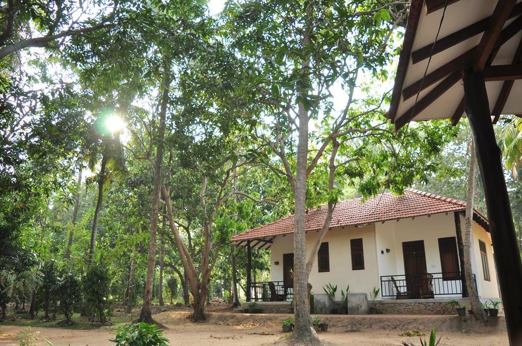 Soba Lanka Holiday Resort Melsiripura Exteriör bild