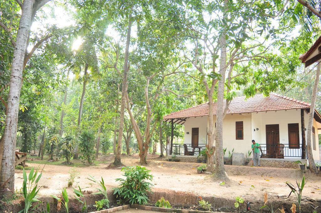 Soba Lanka Holiday Resort Melsiripura Exteriör bild