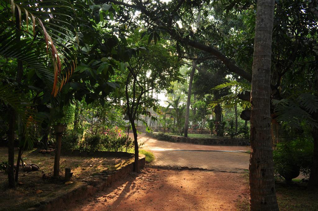 Soba Lanka Holiday Resort Melsiripura Exteriör bild