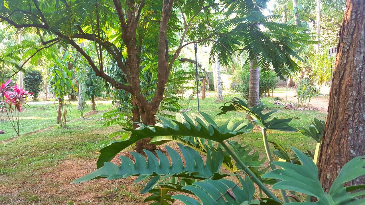 Soba Lanka Holiday Resort Melsiripura Exteriör bild