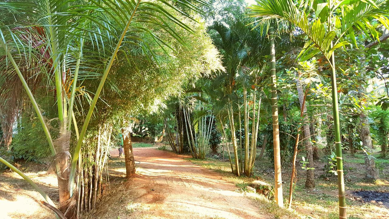 Soba Lanka Holiday Resort Melsiripura Exteriör bild