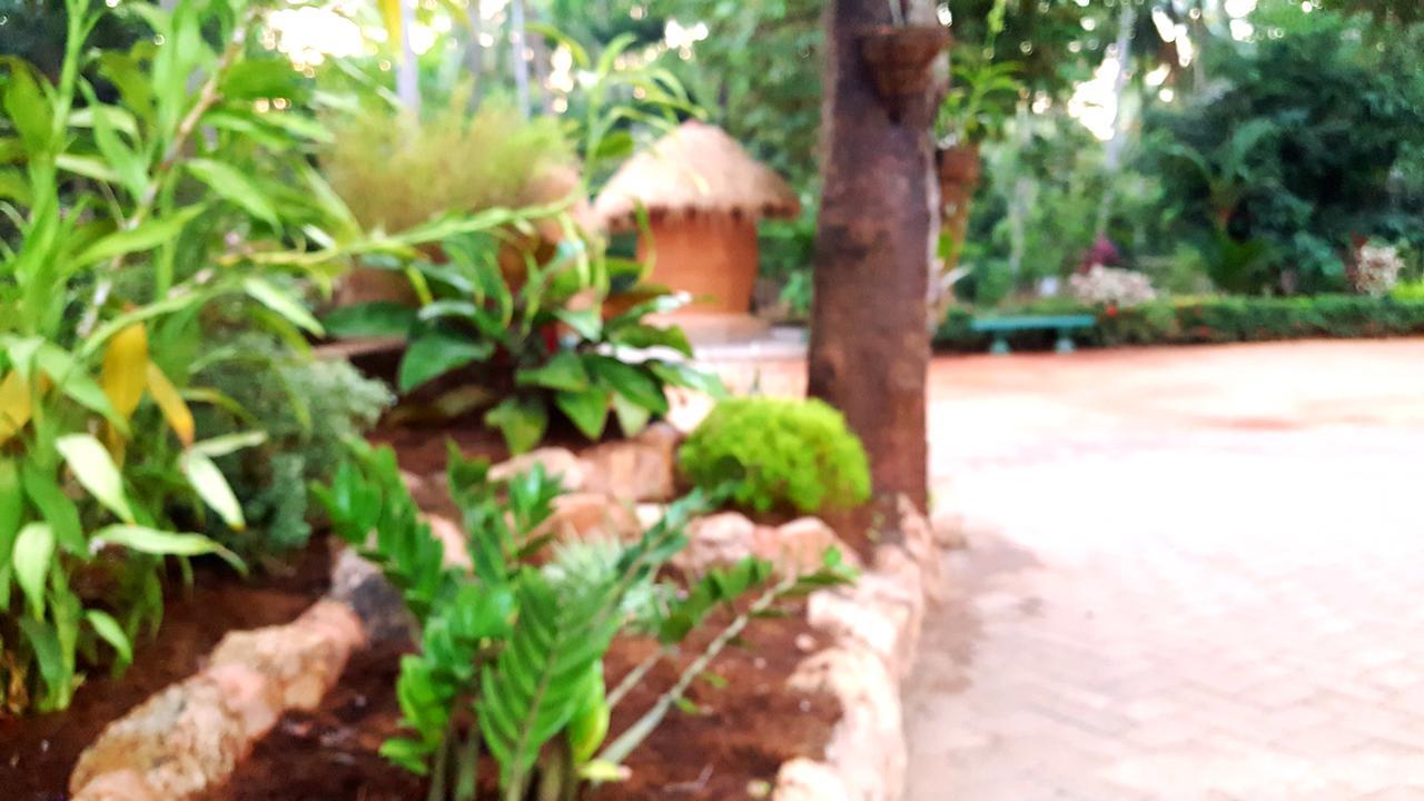 Soba Lanka Holiday Resort Melsiripura Exteriör bild