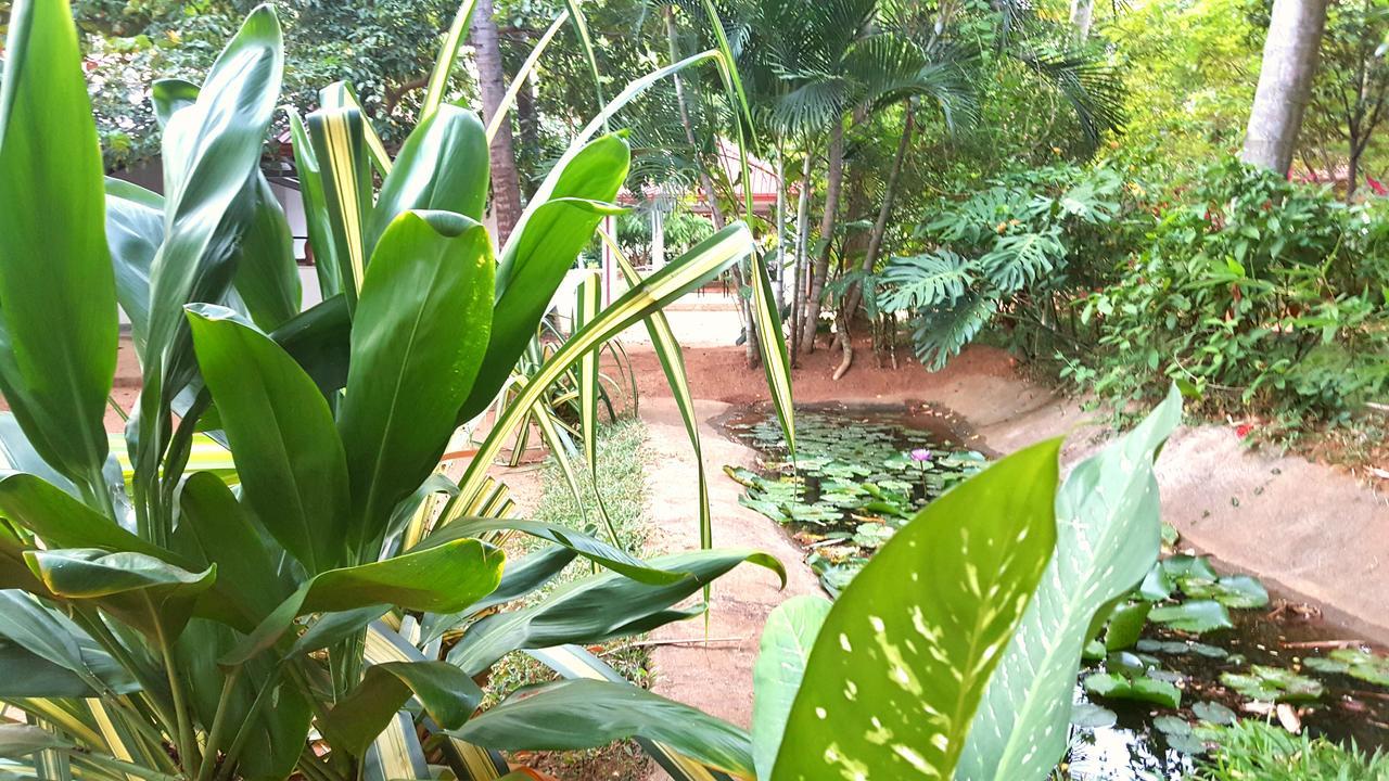 Soba Lanka Holiday Resort Melsiripura Exteriör bild