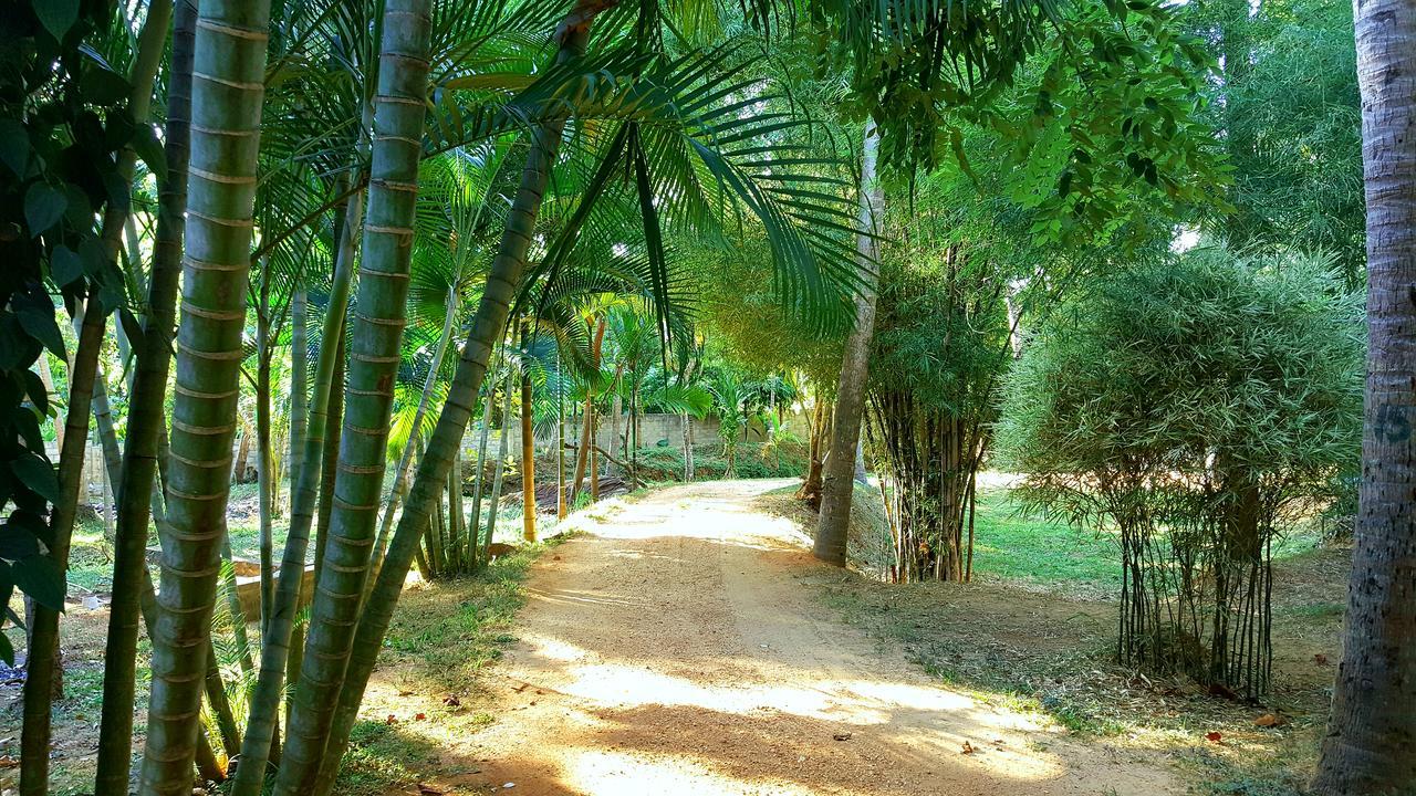 Soba Lanka Holiday Resort Melsiripura Exteriör bild