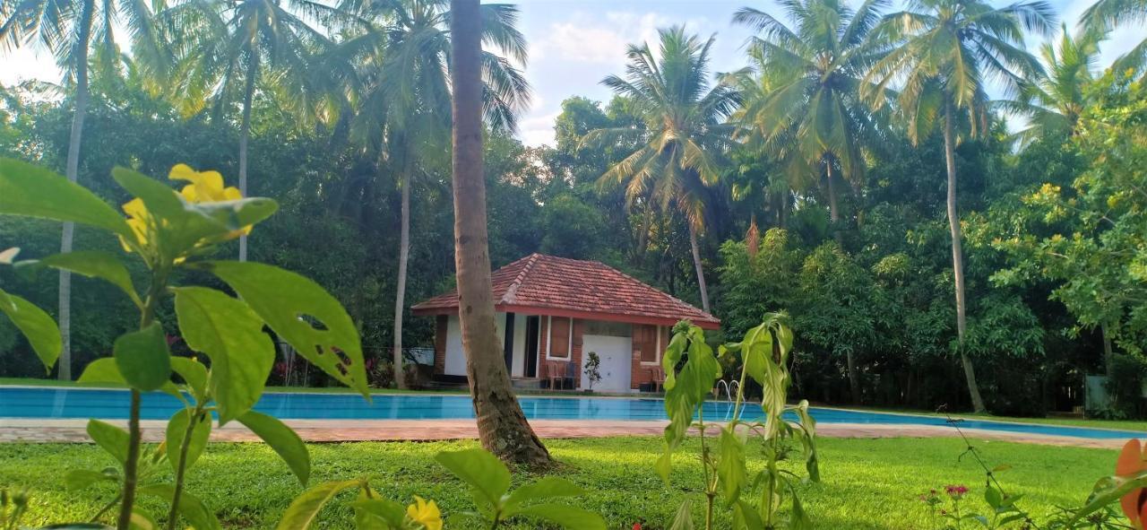 Soba Lanka Holiday Resort Melsiripura Exteriör bild